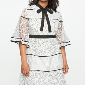 Eloquii Studio Lace Blocked Dress with Piping (22)